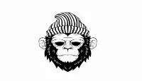 stfu_coupons_and_promo_codes stfu coupons and promo codes