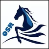 one_stop_racing_coupons_promo_codes one stop racing discount & voucher codes