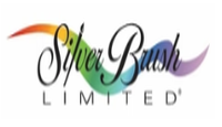 Silver_Brush
